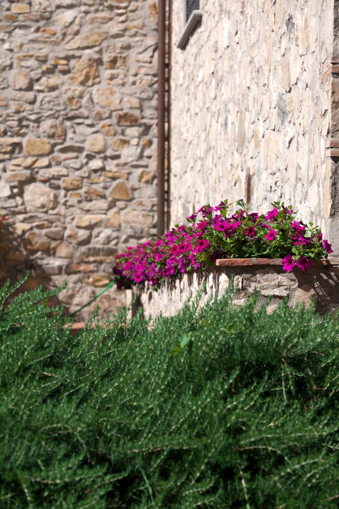 Bauernhof La Casa Di Rodo *